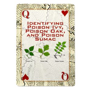 Deck of Survival Playing Cards - Image 3